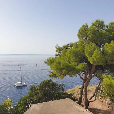 Apartment & Katarina